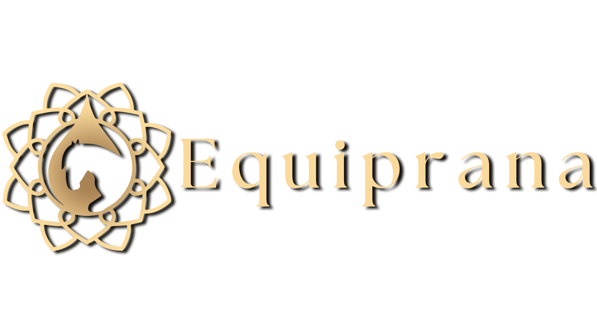 www.equiprana-pferdetraining.at