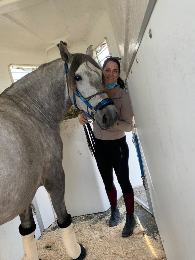 Verladetraining_ equiprana Pferdetraining