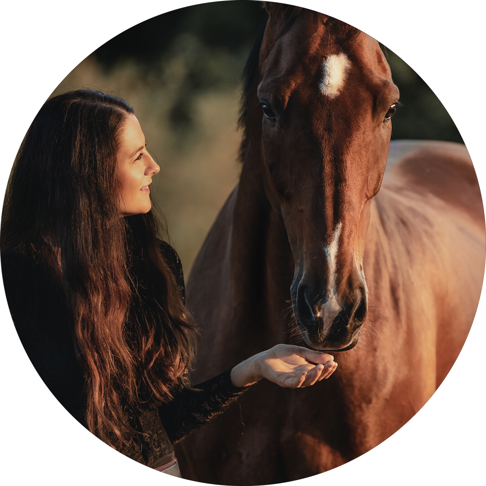 Angebot_equiprana pferdetraining