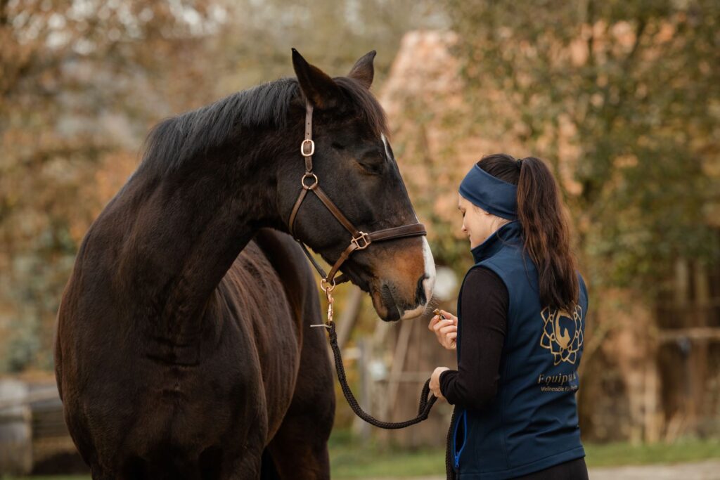 Pferde Traumatherapie - Equiprana Pferdetraining